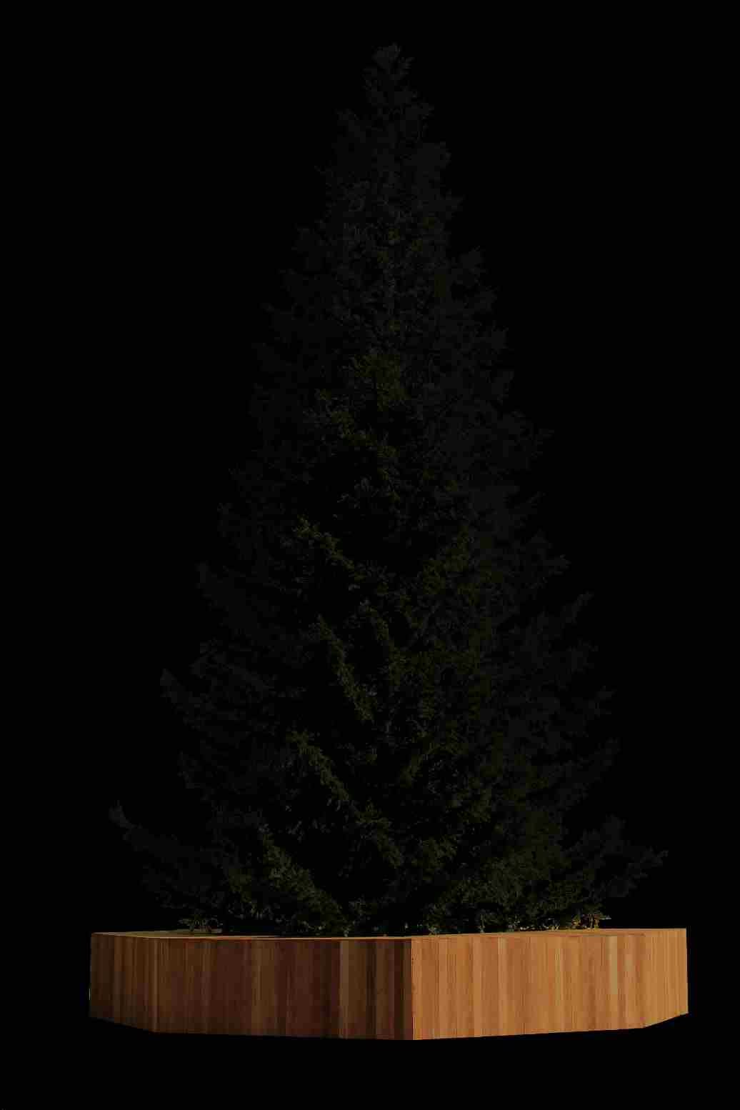 Blachere - SOCLE BOIS