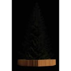 Blachere - SOCLE BOIS