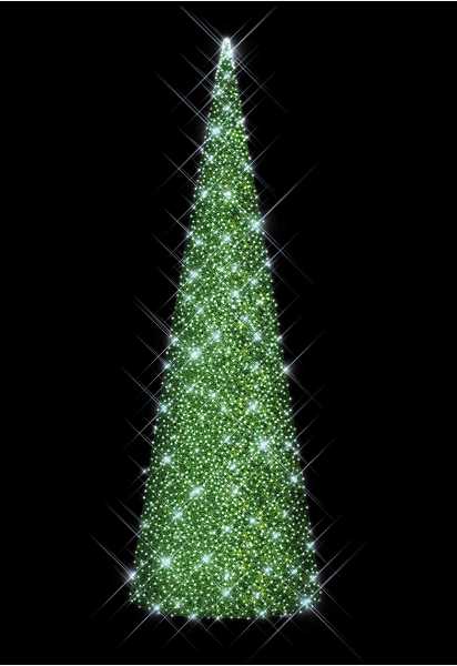 Blachere - SAPIN CONIQUE VERT- H: 10m W+F