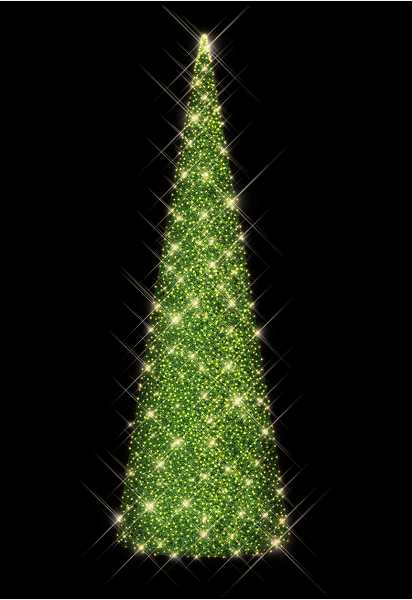 Blachere - SAPIN CONIQUE VERT- H 10m WW+F