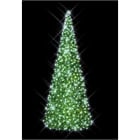 Blachere - Décor SAPIN CONIQUE VERT- H: 3m - W+F Pré illuminé led blanc pur et flash