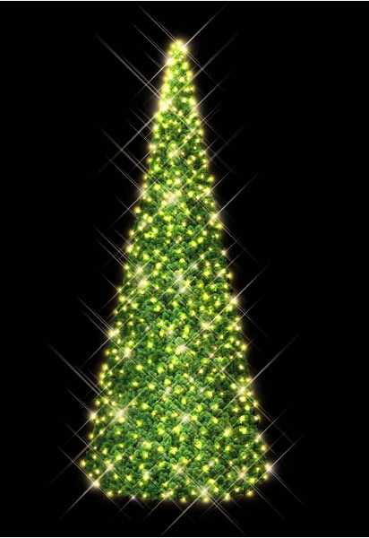Blachere - Décor SAPIN CONIQUE VERT- H: 3m - WW+F Pré illuminé led blanc chaud et flash