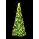 Blachere - SAPIN CONIQUE VERT- H: 3m WW+F