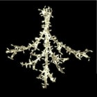 Blachere - BOUQUET DE NOEL LED blanc Chd