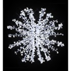 Blachere - SUPER NOVA