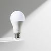 LIT-Bulb