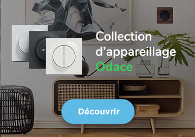 entree-collection-Odace
