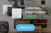 entree-collection-Odace