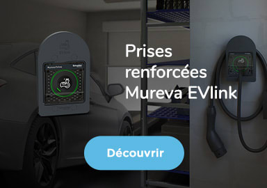 entree-gamme-Mureva EVlink